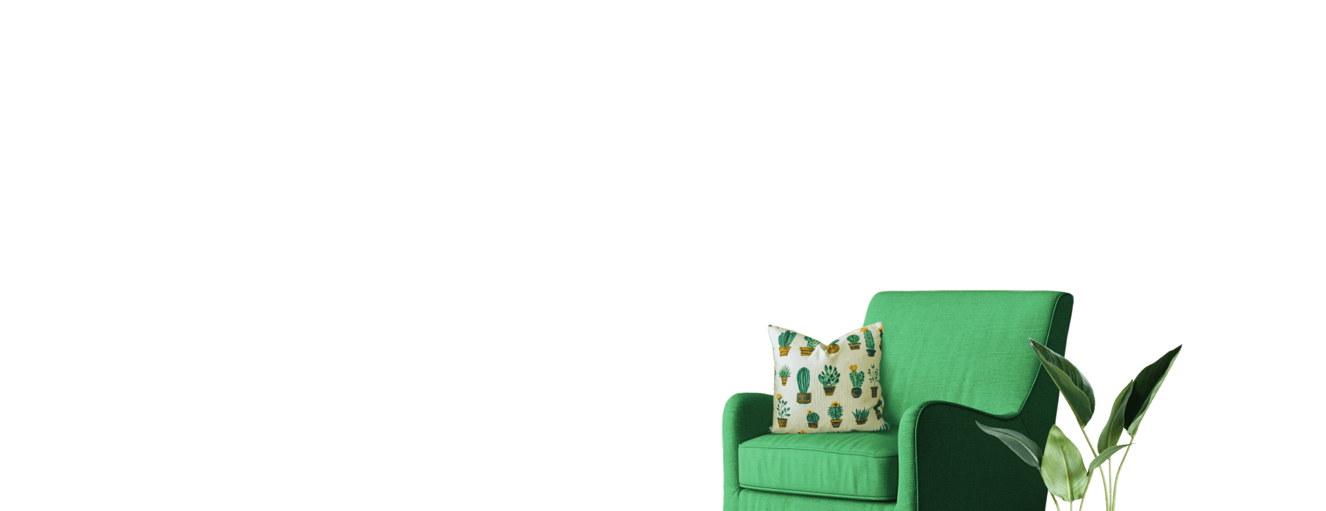 коробки и растение.